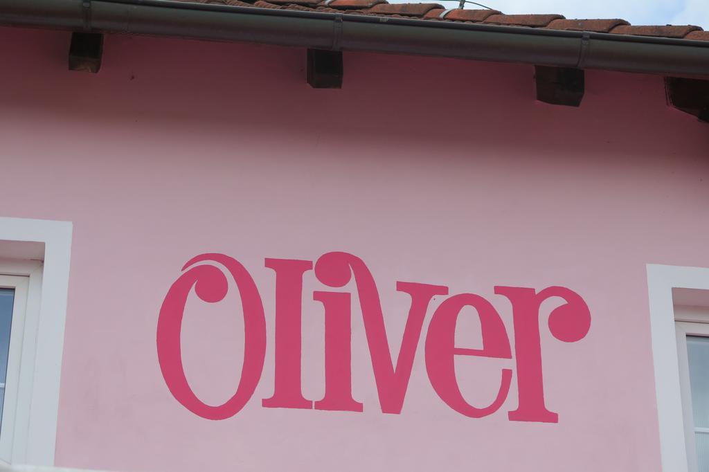 Penzion Oliver Horní Planá Exterior foto
